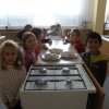 pripravka_004