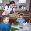 duhovka9
