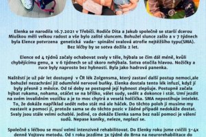 Dobročinná vánoční výstava pro Elenku
