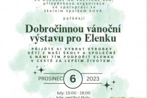 Dobročinná vánoční výstava pro Elenku