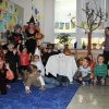 haloween
