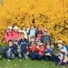 jarni_priroda