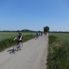 pohansko4a201511