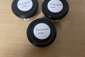 Pozvání na dobročinnou vánoční výstavu a den otevřených dveří