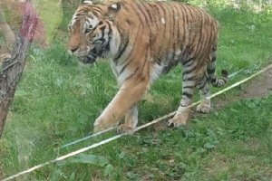 3. B v ZOO Hodonín